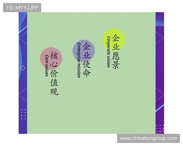 《企业家精神的力量与使命:坚定信念引领创新与责任》 《企业家精神的力量与使命:坚定信念引领创新与责任》